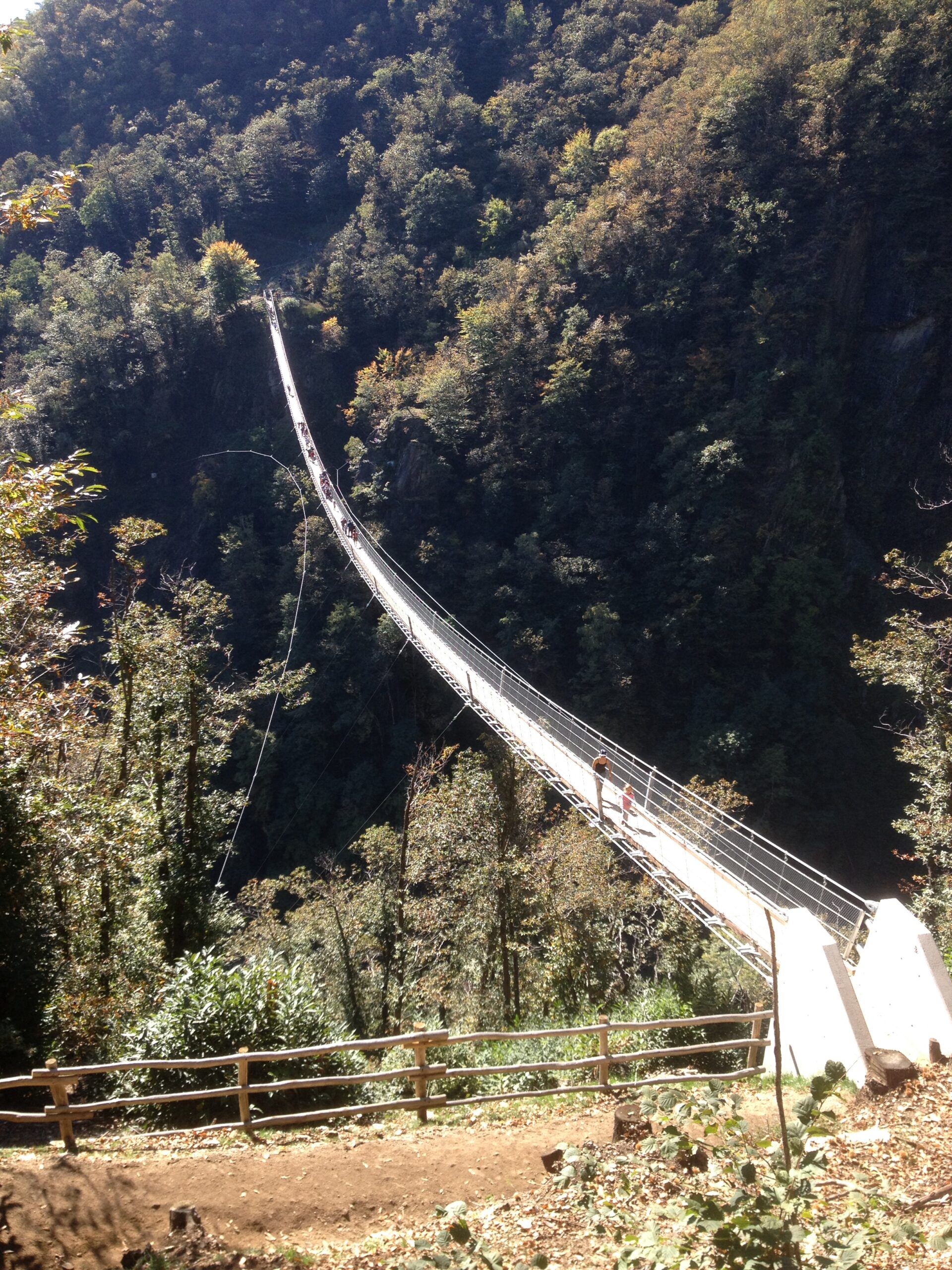 Sementina - Ponte tibetano