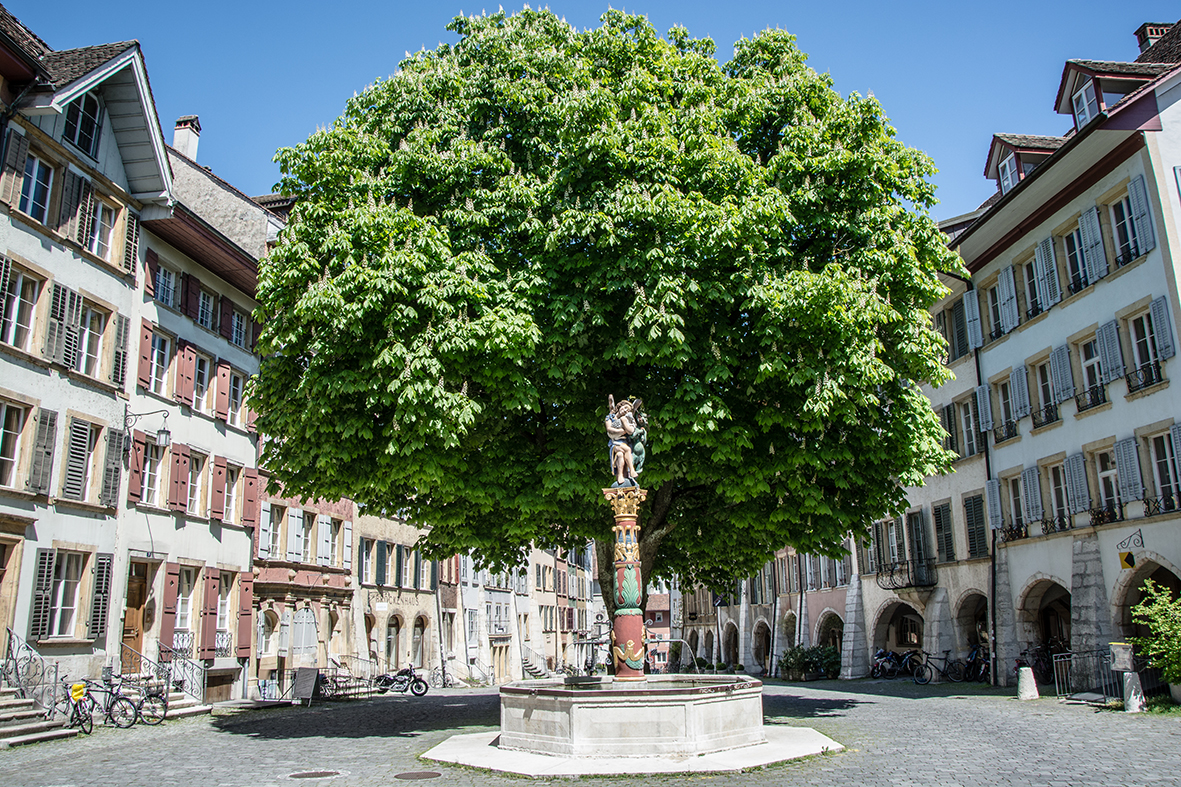 02_Arbre des anges_Bienne_Estate
