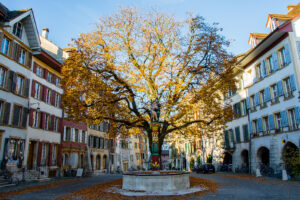 03_Arbre des anges_Bienne_Autunno