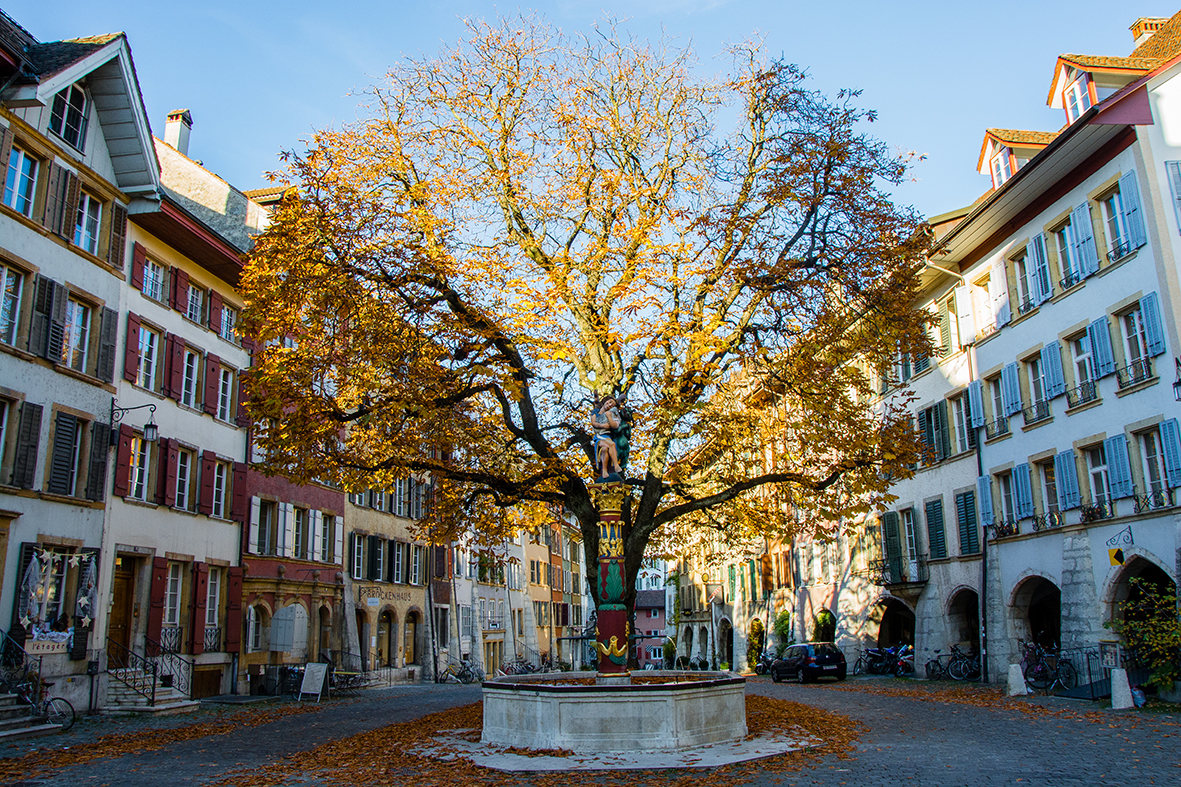 03_Arbre des anges_Bienne_Autunno