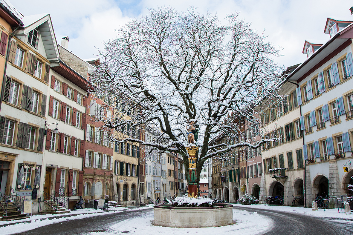 04_Arbre des anges_Bienne_Inverno