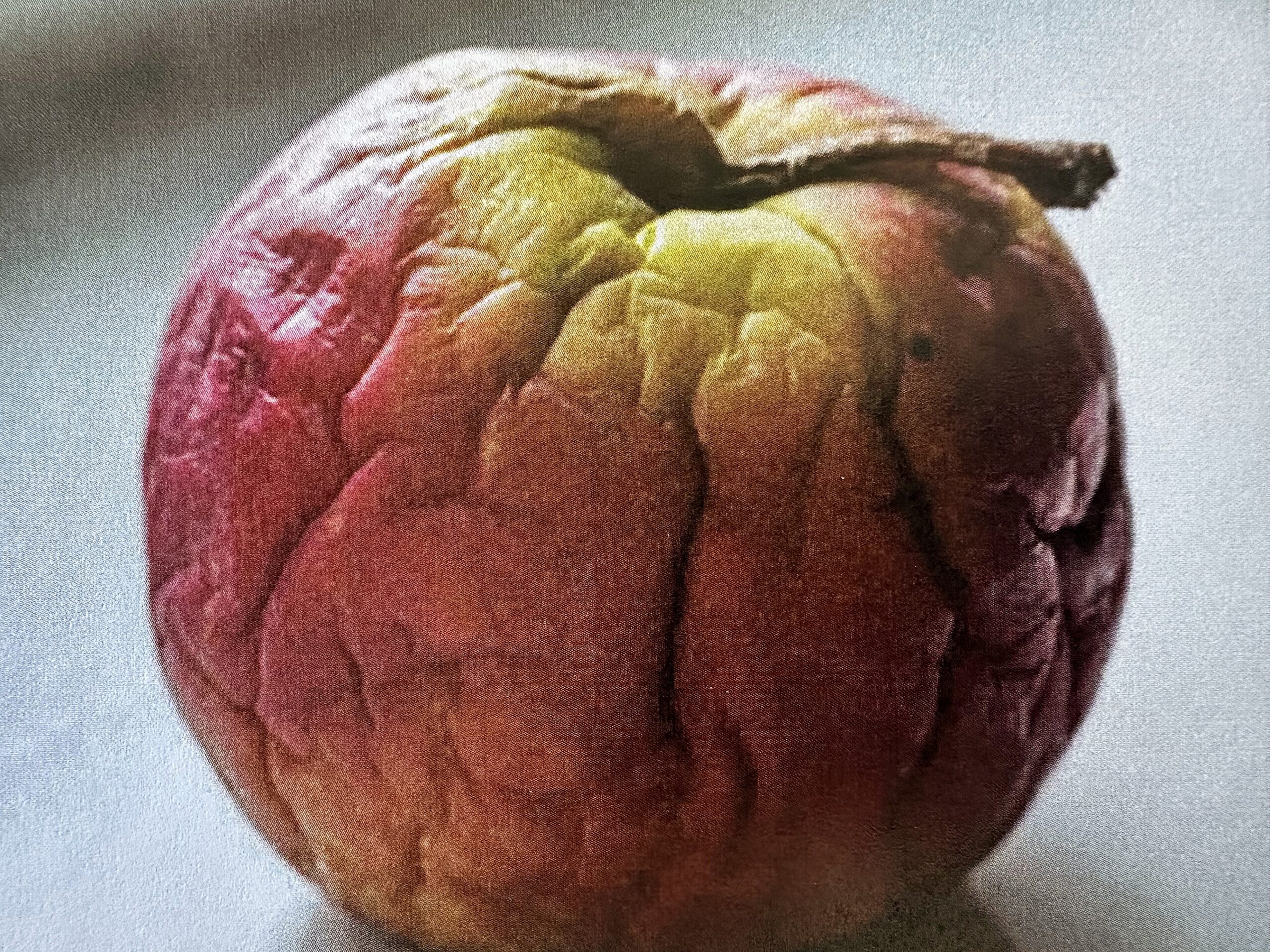 Die_Vergänglichkeit_der_Zeit
