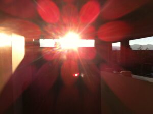 IMG_1095
