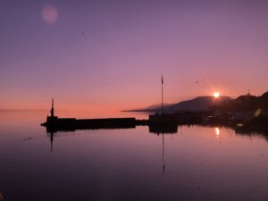 IMG_4279