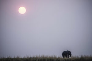 T-BuonaNotte_4111