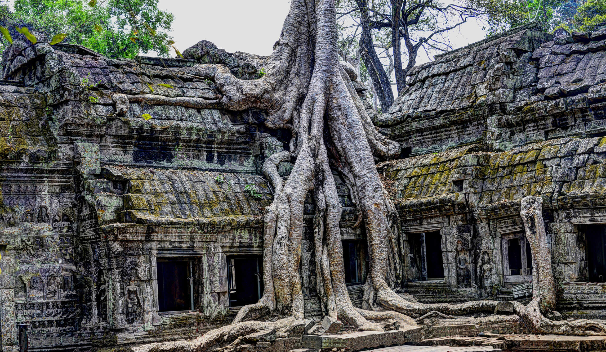 Vergänglichkeit (Angkor Wat Kambodscha)
